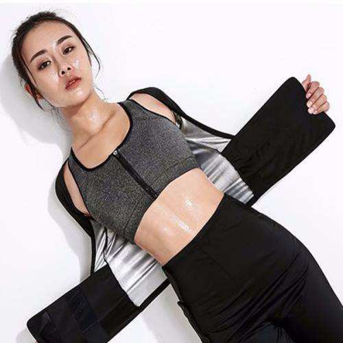 乐盈体育app娱乐手机版