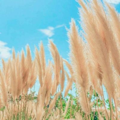 永磁直驱电机在矿山行业的应用:...