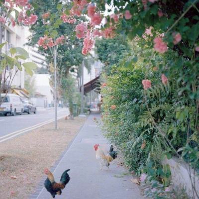 首次写入国家五年规划,旅游强国怎么建、建什么?