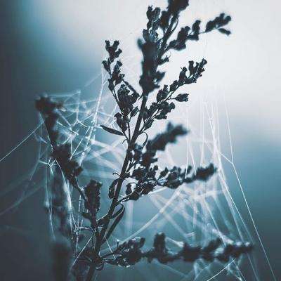 迈博app电竞登录