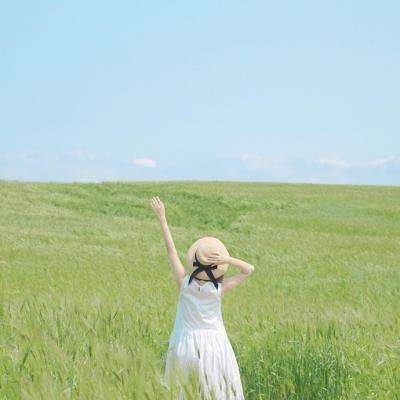 芯片股抛售加剧 谷歌公布可大幅降低内存需求的技术突破