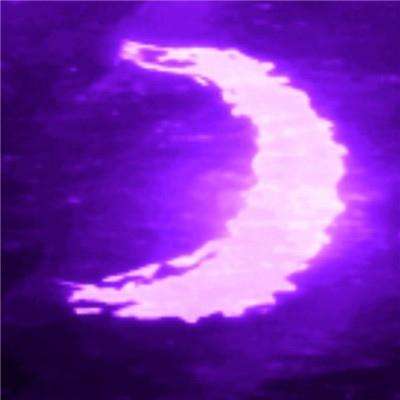 特朗普称伊朗已“完全被打败”