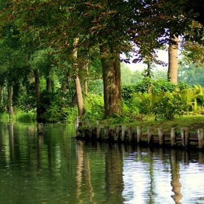 诺安多策略混合A净值上涨4.92%