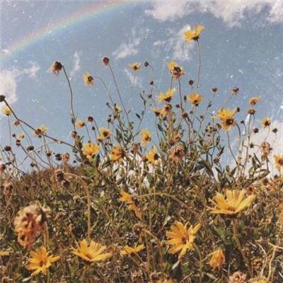 9连板大牛股公告:短期涨幅严重脱离基本面