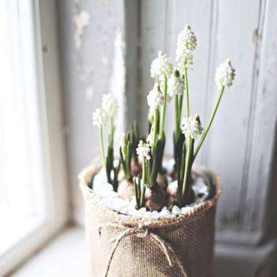 新华社:中美经贸北京磋商传递的信号