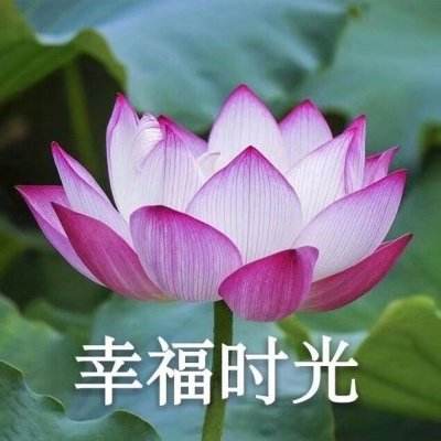 剑与远征单机内购破解