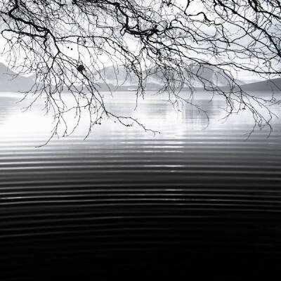 重庆银行去年净赚逾56亿元增超10%，总资产突破万亿元