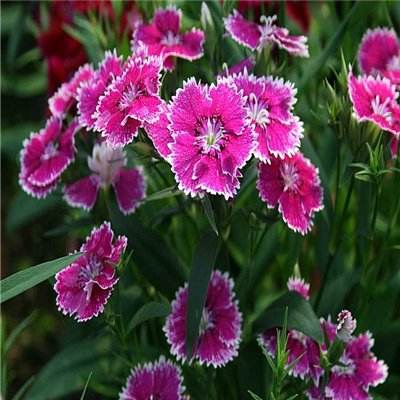 科创医药ETF华夏(588130)涨0.50%,成交额407.39万元