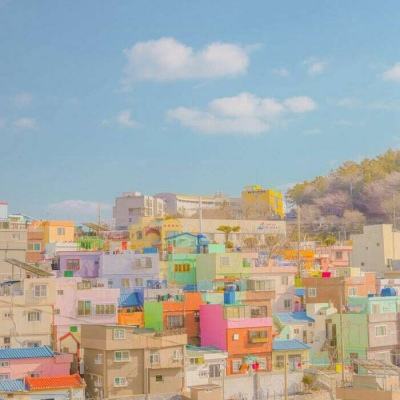 柯南&mdash;业火的向日葵满v版