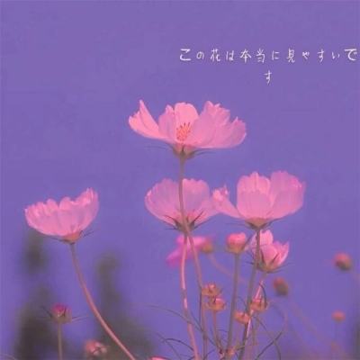 喵星人大战无限猫粮版