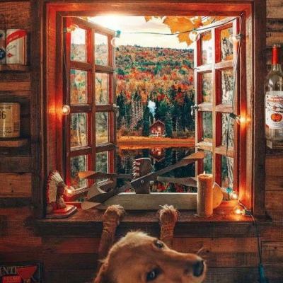 少年三国志游族版