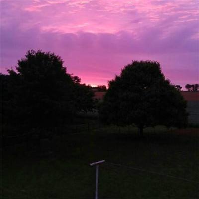 乐竞体育电竞相关推荐1