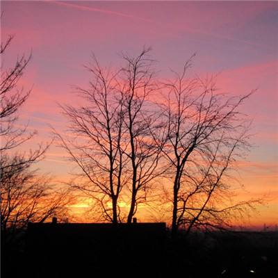 高校女生模拟器