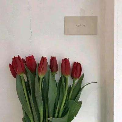 乐鱼体育电影下载安卓安装正版最新版v7.5.7.6截图3