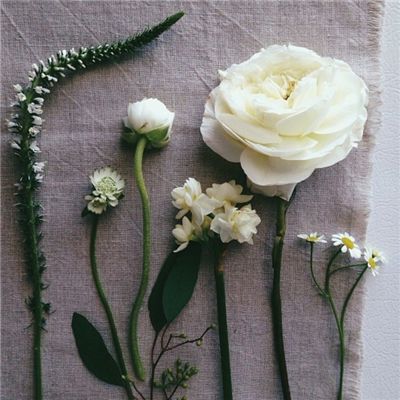 同乐成体育截图2