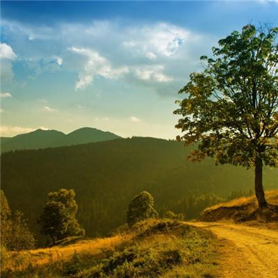 白宫新闻秘书:特朗普将于周四主持内阁会议四赴雄安 对“未来之城”再部署