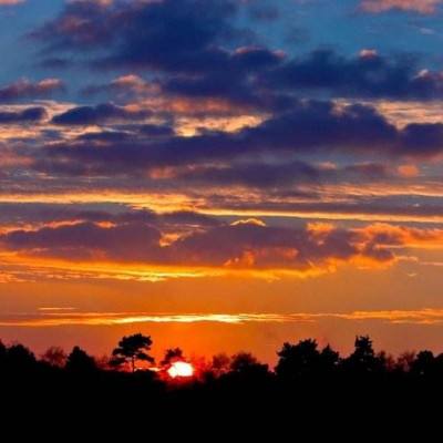 蓝鲸体育app安装正版最新版v1.0.9.7截图3