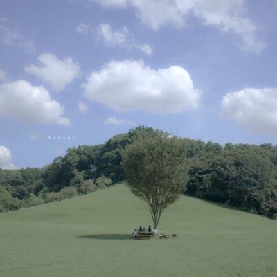 广西某地倡议清明视频缅怀先人不实