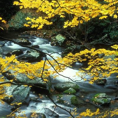 乐鱼体育官方链接网站