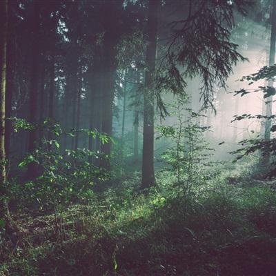 最强蜗牛内购破解版下载