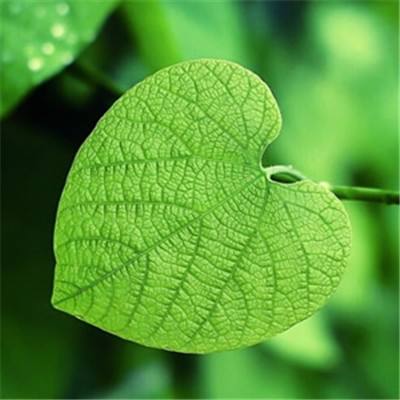 华润啤酒去年营收、股东应占溢利双降