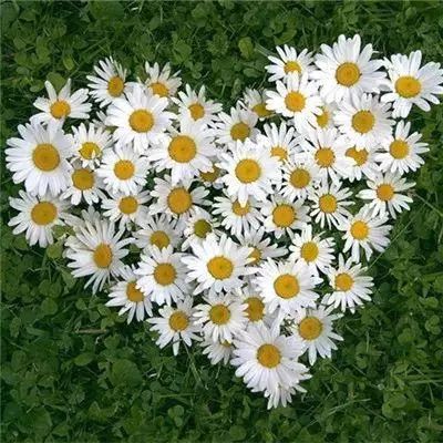 hth华体体育在线登录入口